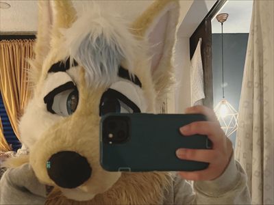 spencer🏳️‍⚧️🏳️‍🌈 | FTM femboy profile photo 2