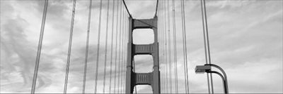 Baysex California profile photo 2