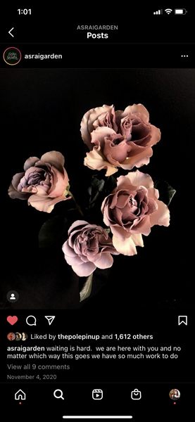 Lilith Rose profile photo 2
