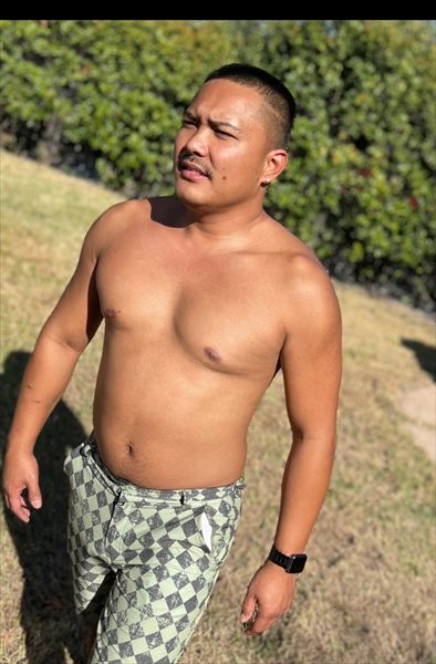 Islandguyjay
