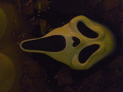 Pooche Kush profile photo 2