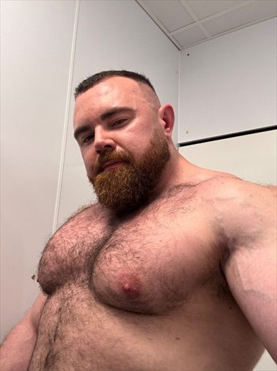 PJ KNOX