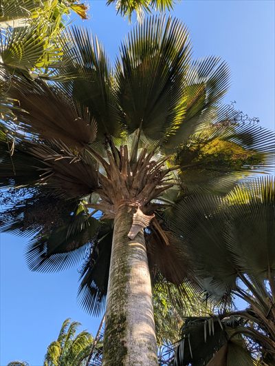 A // B profile photo 2