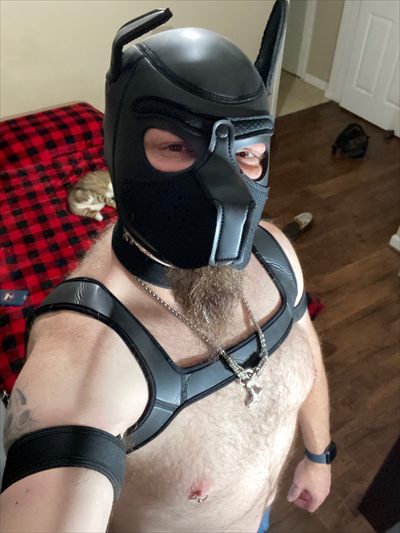 Pup Freki