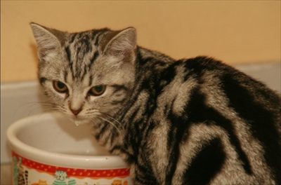Mae profile photo 2