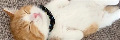 PiscesPrincess profile photo 2