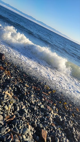 LifesABeach profile photo 2