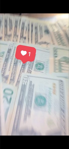 yt girl 🤍 profile photo 2
