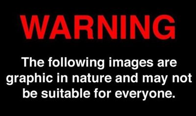 Horror Fanatic profile photo 2