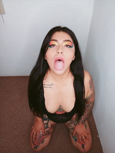 MUSSAINK 🍭