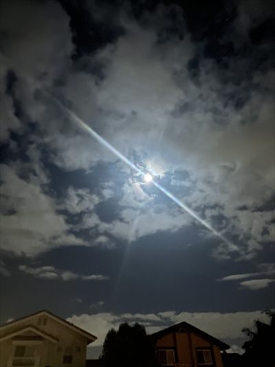 u30739776 profile photo 2