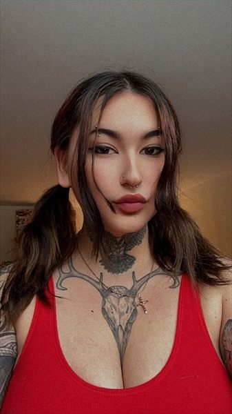 Kitten profile photo 3