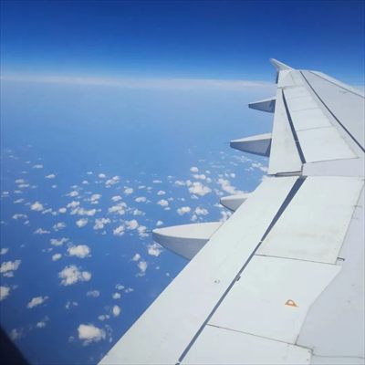 Iryss profile photo 2
