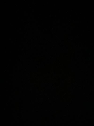Ari profile photo 2