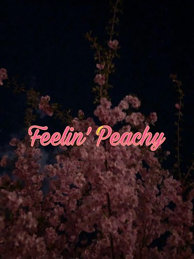 Peachy profile photo 2