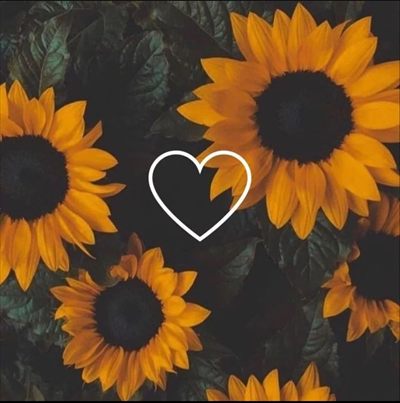 Deanna 💕 profile photo 2