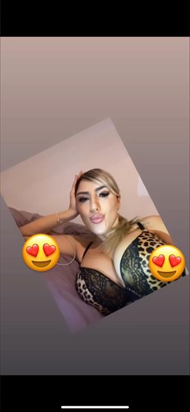 Rubia catira