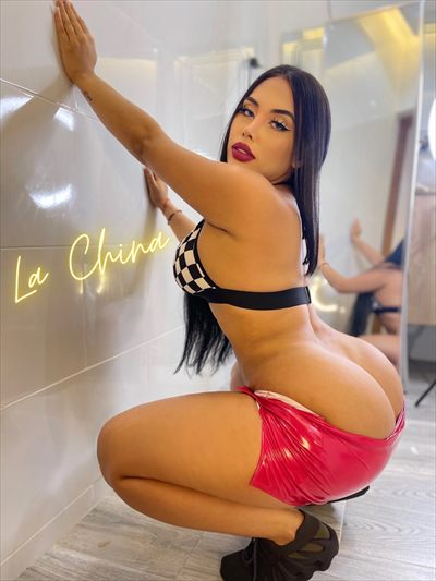 📲🍔 𝐌𝐄𝐆𝐀 𝐏𝐔𝐒𝐒𝐘🍔📲 creator profile
