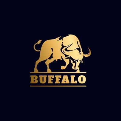 Texas Buffalo Bull 🦬 profile photo 2