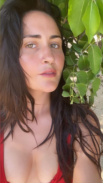 The Island Mermaid