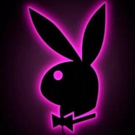 👅 𝓑𝓛𝓤 𝓑𝓤𝓝𝓝𝓨 𝓔𝓝𝓣𝓔𝓡𝓣𝓐𝓘𝓝𝓜𝓔𝓝𝓣 profile photo 2
