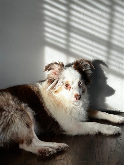 Aubreyyyy profile photo 2
