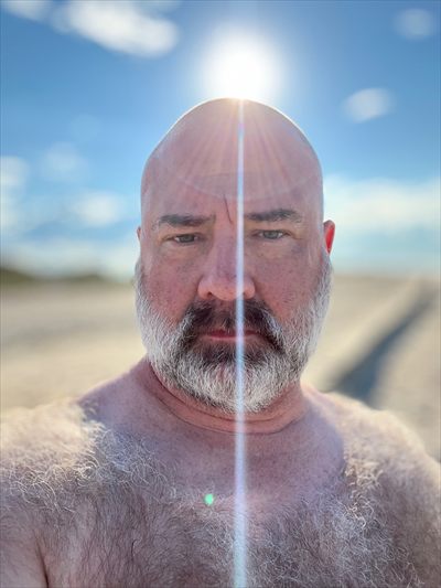 CityBearXXX