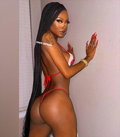 TS Erotica Vanderlei 🫦💦