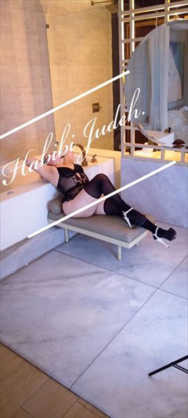 Habibi Harem profile photo 2