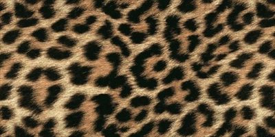 Lola Minx profile photo 2