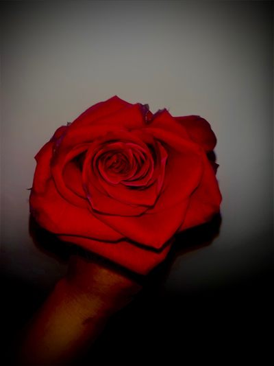 Juju la Tóxica profile photo 2