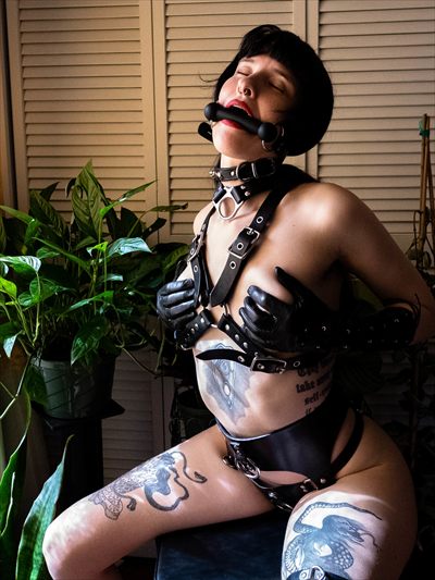 Echo Noir profile photo 2