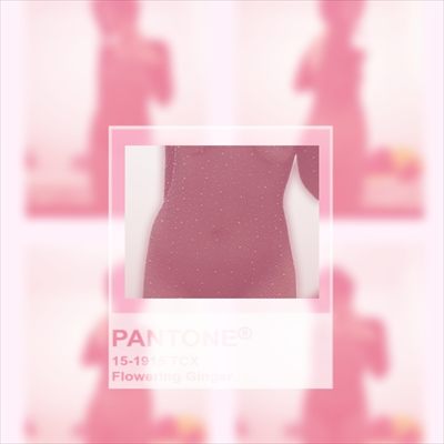 Kittenbik profile photo 2