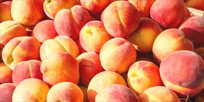 Peachyyy profile photo 2