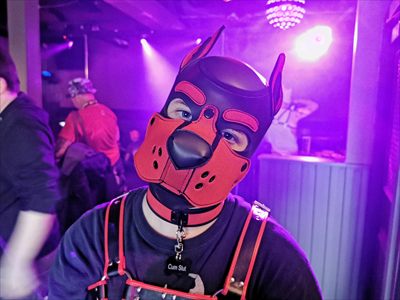 Pup Axel profile photo 2