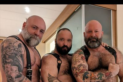 TriadBearsCHI profile photo 2