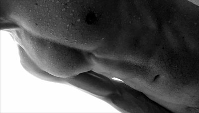 NotoriousOffset profile photo 2