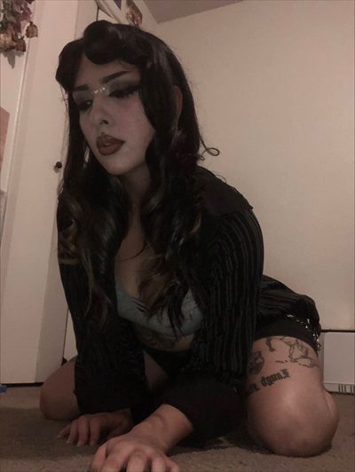 Lovelea Kitty