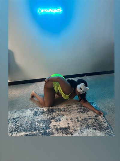 Camouflaged 🥵 profile photo 2