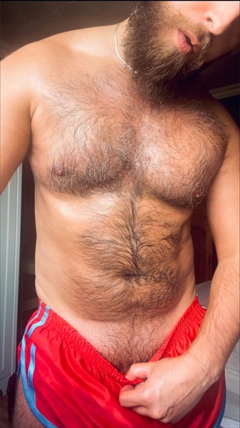 Hairy Pianist profile photo 2