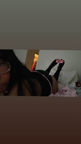 your forever kitten profile photo 2