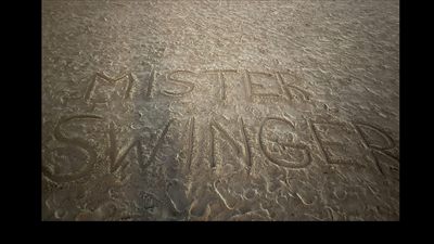 Mister Swinger profile photo 2