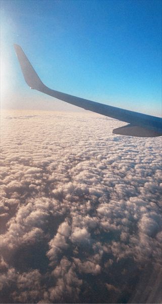 Bluesky babe profile photo 2