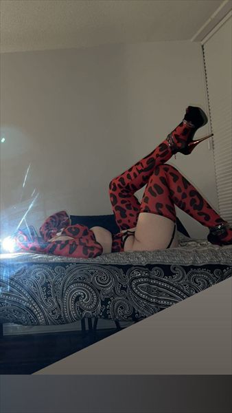 🍒 𝗠𝗮𝗱𝗱𝘆 𝗠𝗮𝘇𝗲 🍒