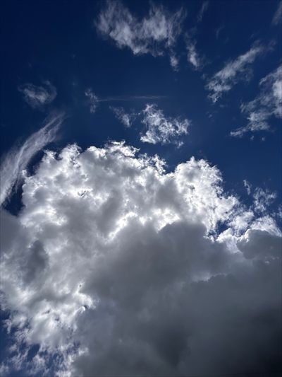sodium profile photo 2