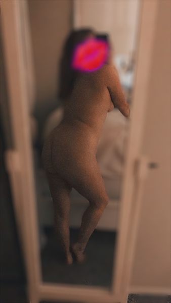 WillowHaze✨