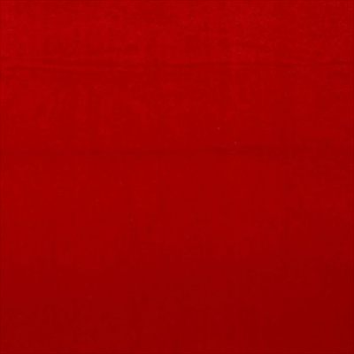 Lorelay profile photo 2