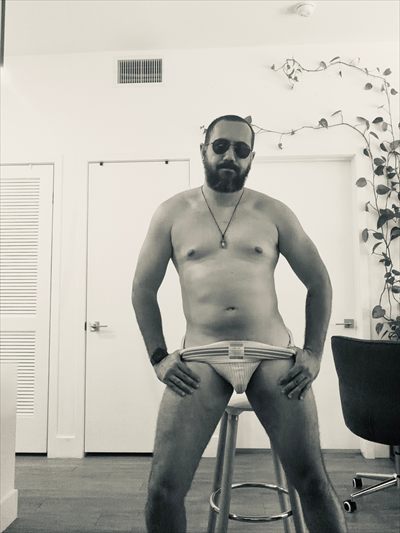 Diego wolf