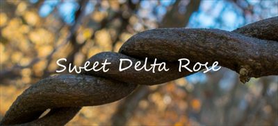 Delta Rose profile photo 2