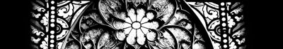 Dahlia Darkest profile photo 2
